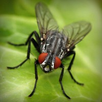 /album/cartier-sunglasses-blog/photolia-a01-jpg/