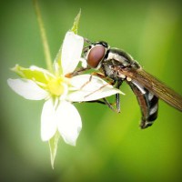 /album/cartier-sunglasses-blog/photolia-a02-jpg/