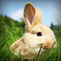 /album/cartier-sunglasses-blog/photolia-a03-jpg/