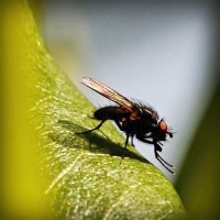 /album/cartier-sunglasses-blog/photolia-a04-jpg/