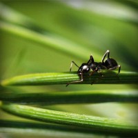 /album/cartier-sunglasses-blog/photolia-a05-jpg/