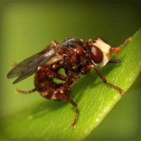 /album/cartier-sunglasses-blog/photolia-a06-jpg/