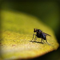 /album/cartier-sunglasses-blog/photolia-a07-jpg/