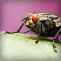 /album/cartier-sunglasses-blog/photolia-a08-jpg/